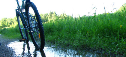 Como transportar la bicicleta en el coche: portabicis