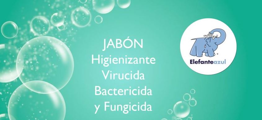 Lava y desinfecta tu vehículo